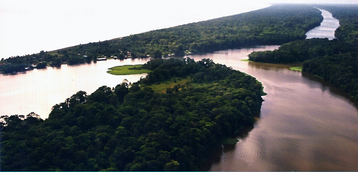 ParqueNaturalTortuguero