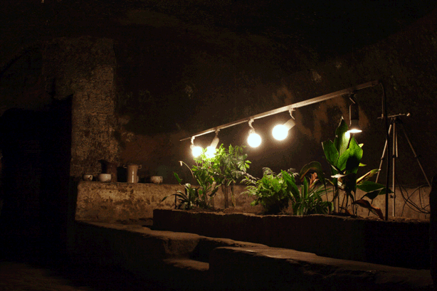 napoles-subterranea-jardin