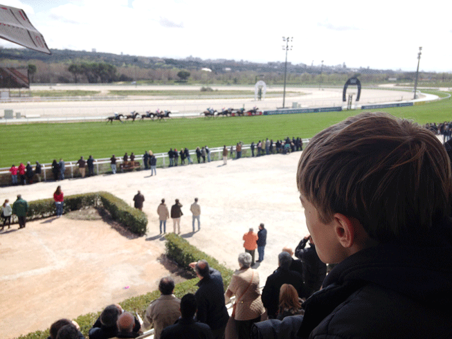 carreras de caballos desde la tribuna- hipódromo de Madrid