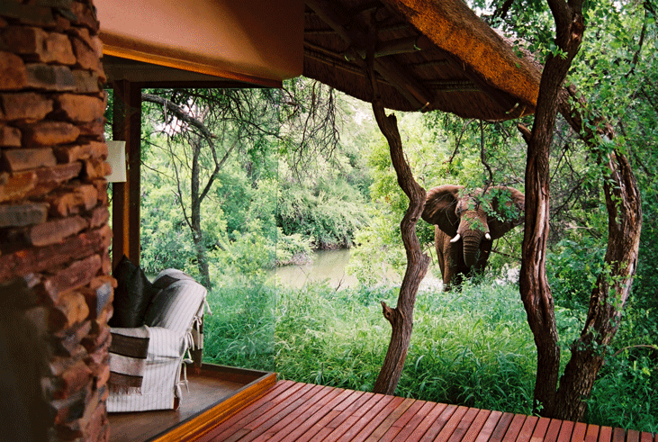 Elefante-safari-con-niños-africa