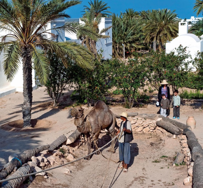 Parque temático en Túnez