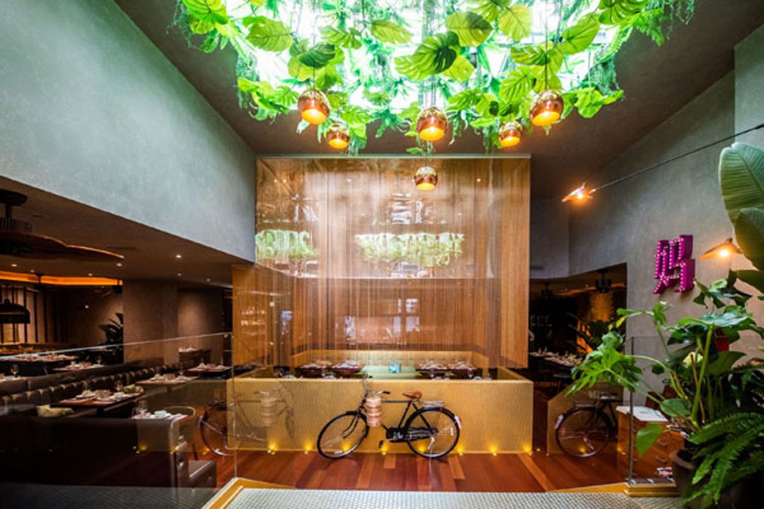 Shanghai Mama, un restaurante chino diferente para disfrutar en familia