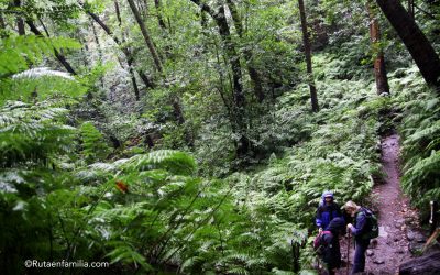 Isla de La Palma en familia, un viaje con niños al paraíso