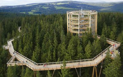 Bosques de la República Checa, paseos entre las nubes