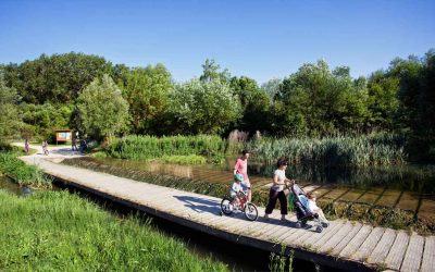 Vitoria en familia, planes para descubrirla con niños