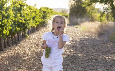 La vendimia en familia con la Ruta del Vino Cigales