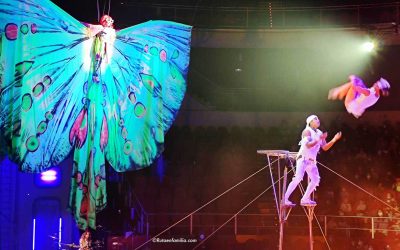 Circo Price en Navidad, la vuelta al mundo de Cometa