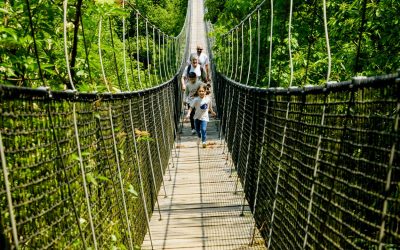 Tendencias clave de los destinos españoles en turismo familiar