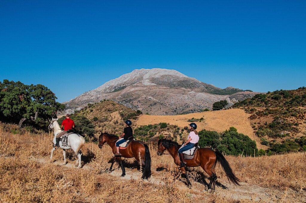 Rutas-a-caballo-por-la-Sierra-de-las-Nieves