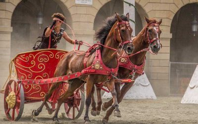 Lucha de gladiadores en el Mercado Romano de Alcalá de Henares