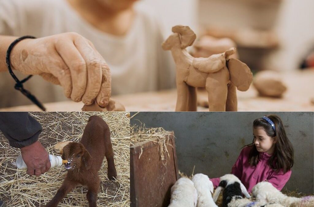 Collage Fabricando Experiencias cerámica y ovejitas