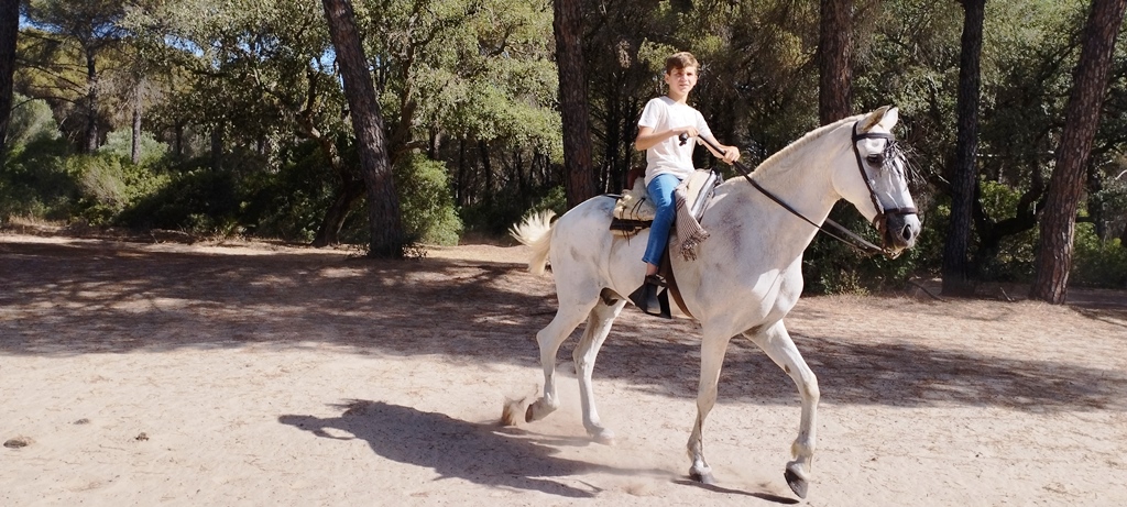 En Doñana el caballo es un medio de paseo habitual