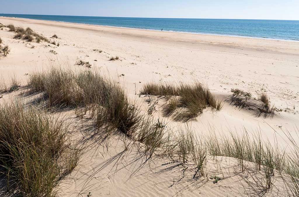 Huelva, un rincón de playas infinitas para descubrir en familia