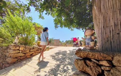 Finca ecológica y granja escuela Can Musón, diversión y aprendizaje para todos