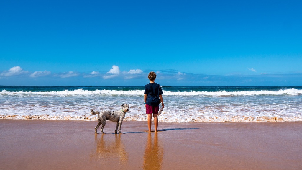 Vacaciones con niños y perro