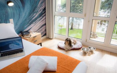 Casual Hoteles, una cadena «pet lover» ideal para familias multiespecie