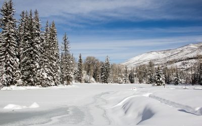 5 experiencias invernales de nieve, aventura y playa en Estados Unidos