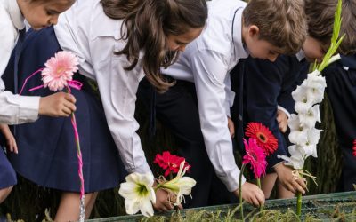 El Festival de la Flor, la cita más colorida de Madeira