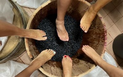 Pisar la uva en una experiencia Vip de vendimia en familia en Pradorey