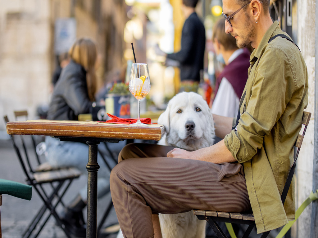 Mascotas-en-restaurantes-en-Murcia.-Web-oficial