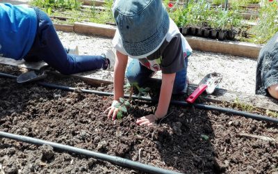 Actividades familiares en el festival de cine sobre progreso sostenible