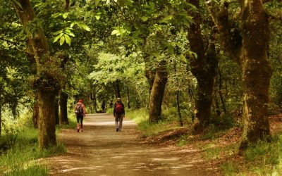 El Camino de Santiago Francés celebra el 30 aniversario como Patrimonio Mundial