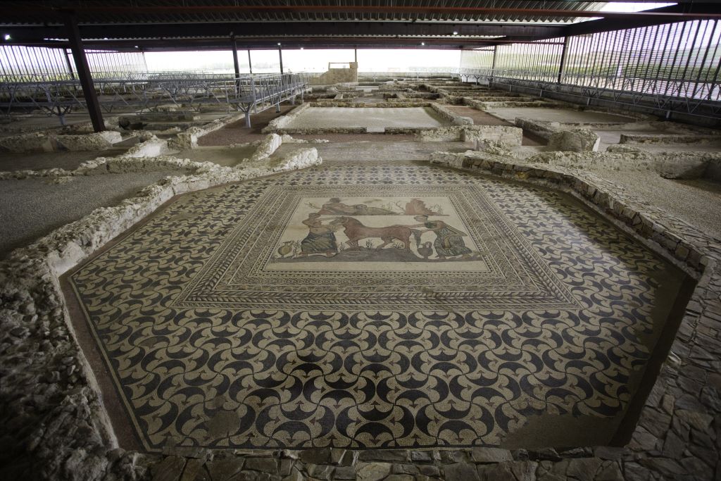 En-el-MVR-se-conservan-impresionantes-mosaicos