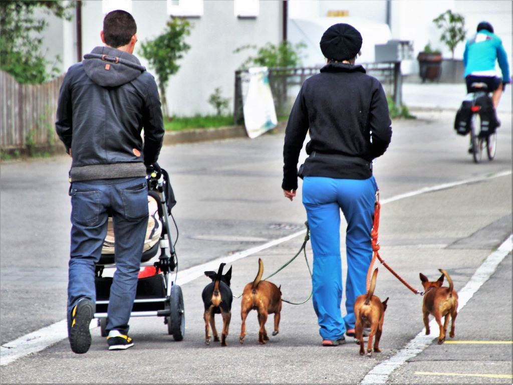 Familia-paseando-con-un-carrito-de-nino-y-sus-perros