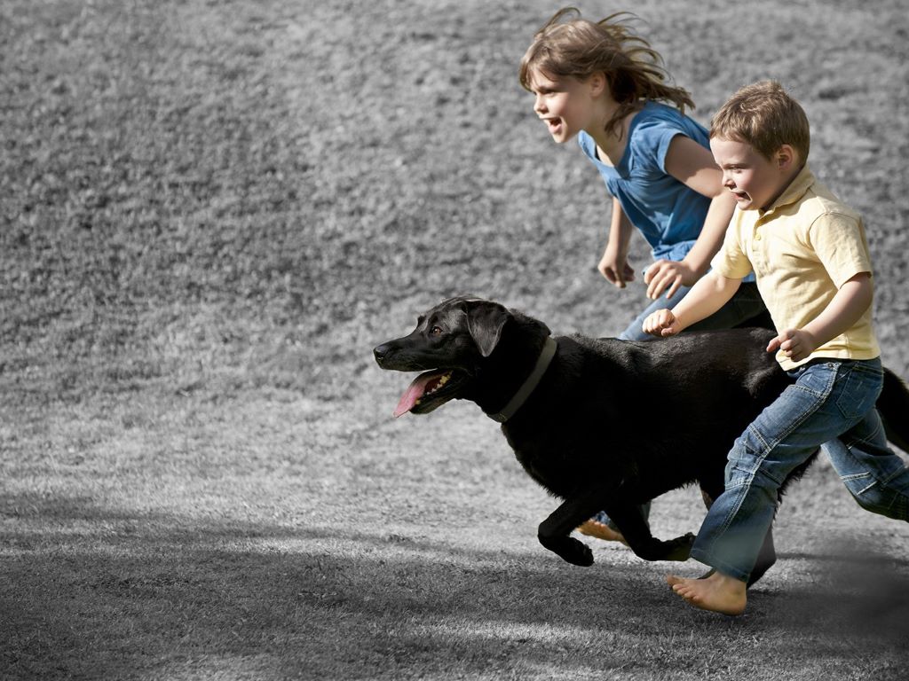 Ninos-corriendo-alegres-con-su-perro