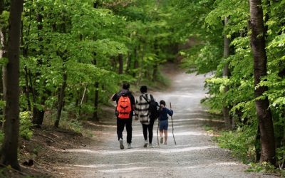 Camino de Santiago en familia