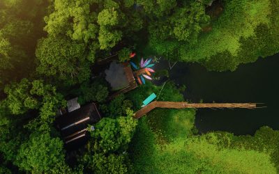 Veracruz: Riqueza natural y cultural para el turismo familiar