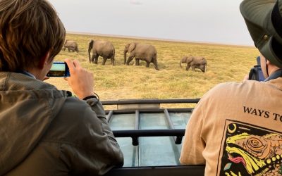 Kenia en familia, del safari en Masái Mara a las playas del Índico