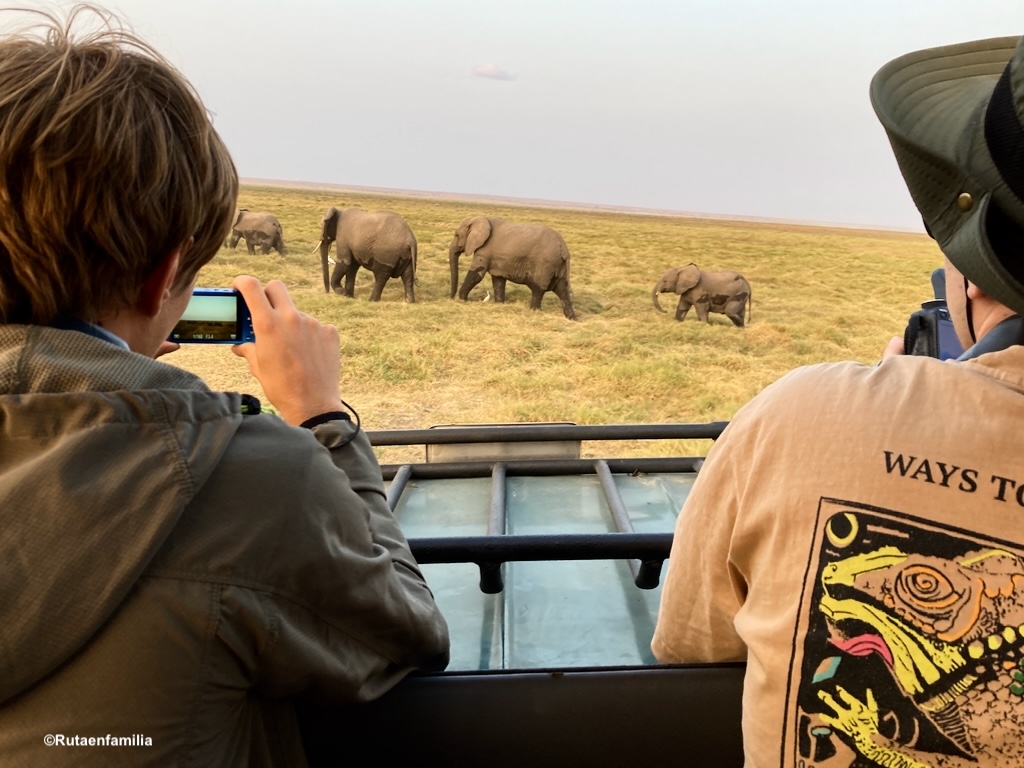Jóvenes observando manada de elefantes cruzando la sabana