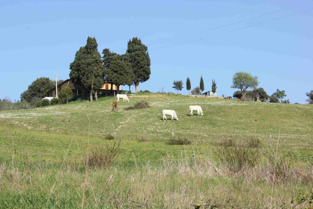 Toscana se presenta en Fitur como destino familiar con experiencias pensadas para viajar con niños
