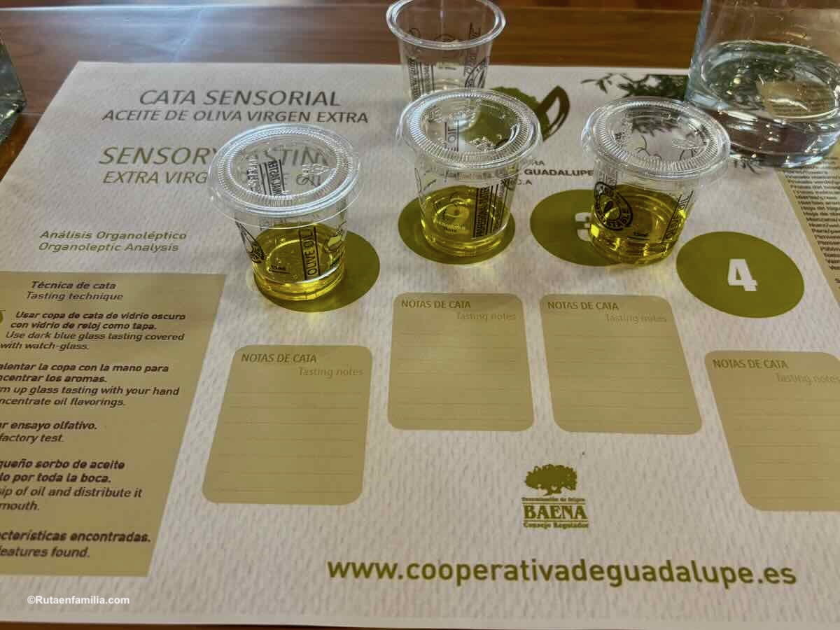 mesa de cata de aceite en Baena